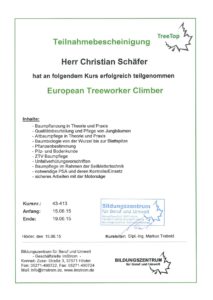 European Treeworker Climber